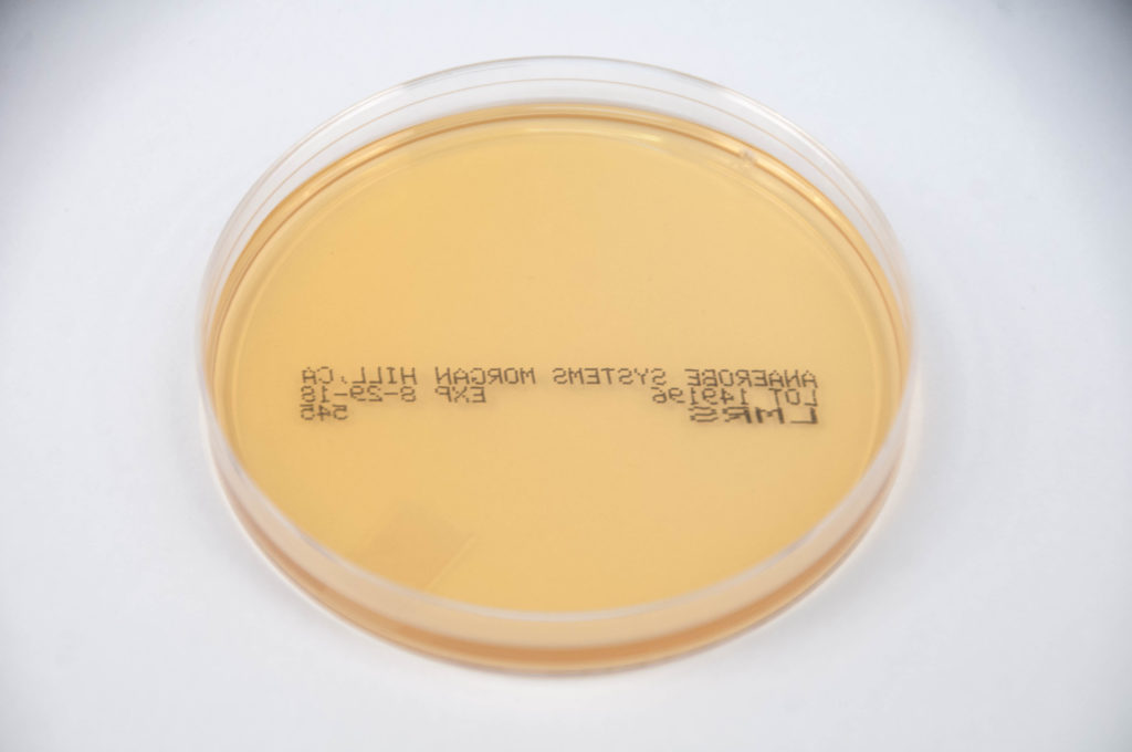 LactobacilliMRS Agar LMRS Anaerobe Systems